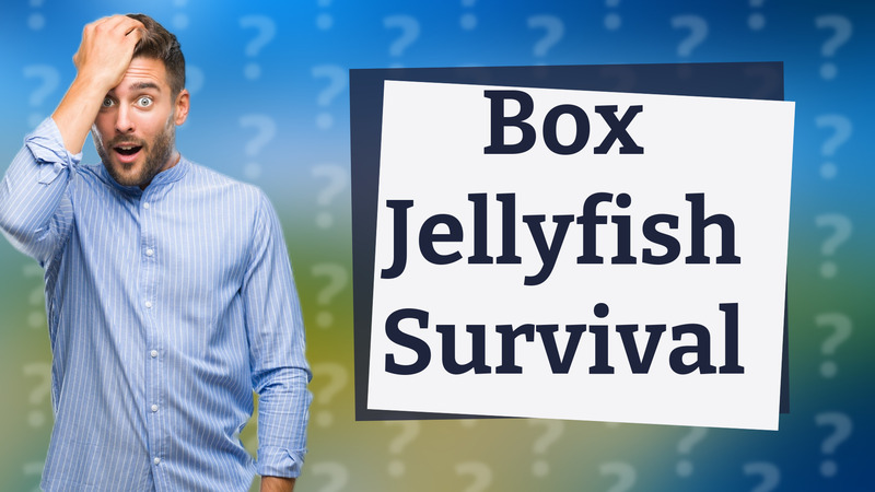 Box Jellyfish Survival