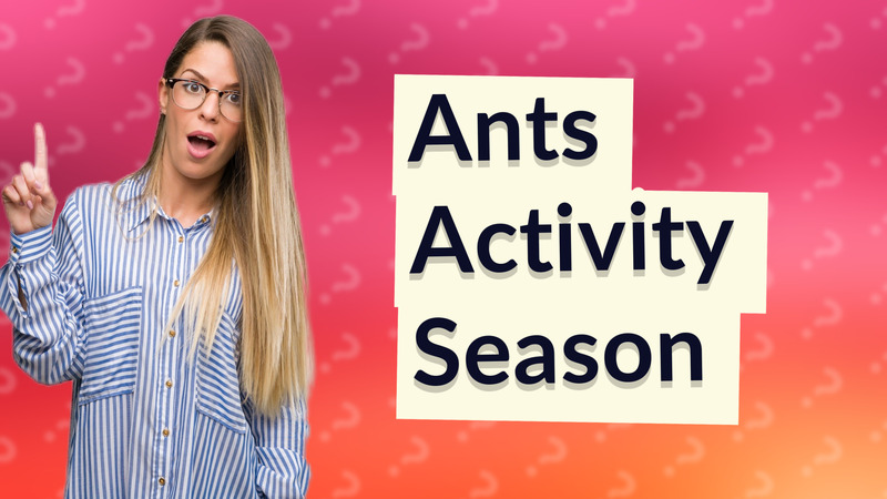 Ants Activity Season
