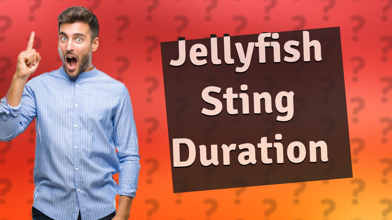 Jellyfish Sting Duration