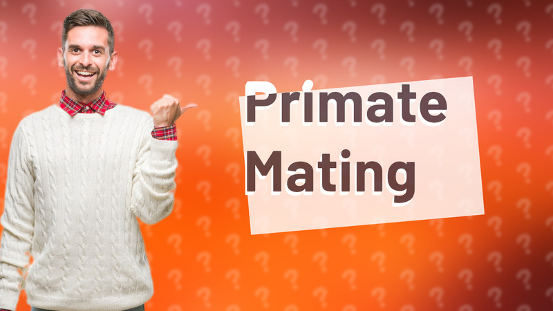 Primate Mating
