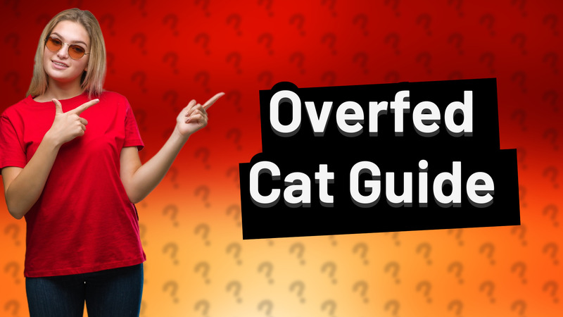 Overfed Cat Guide