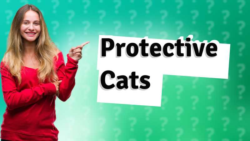 Protective Cats