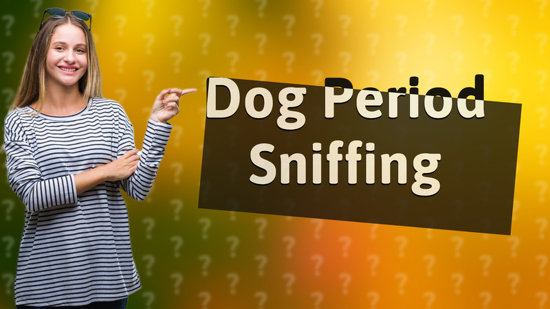 Dog Period Sniffing