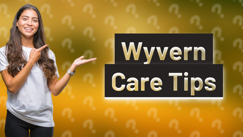 Wyvern Care Tips