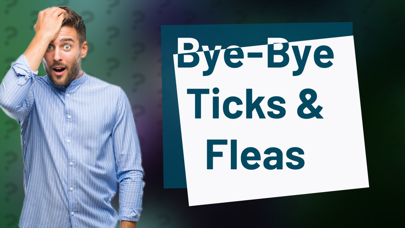 Bye-Bye Ticks & Fleas