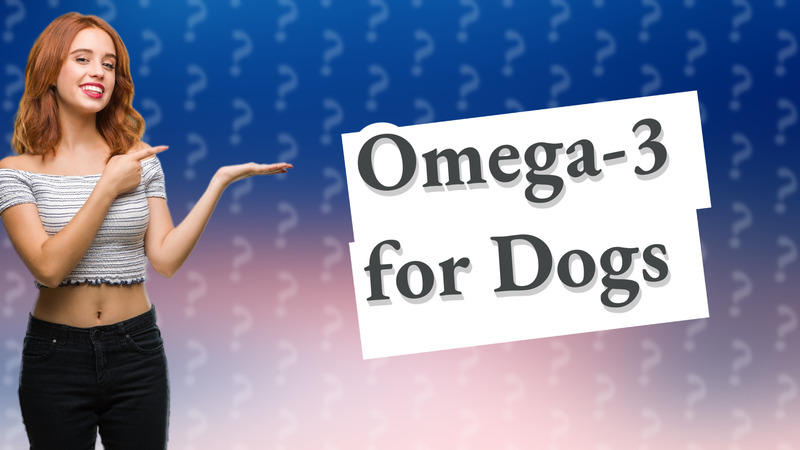 Omega-3 for Dogs