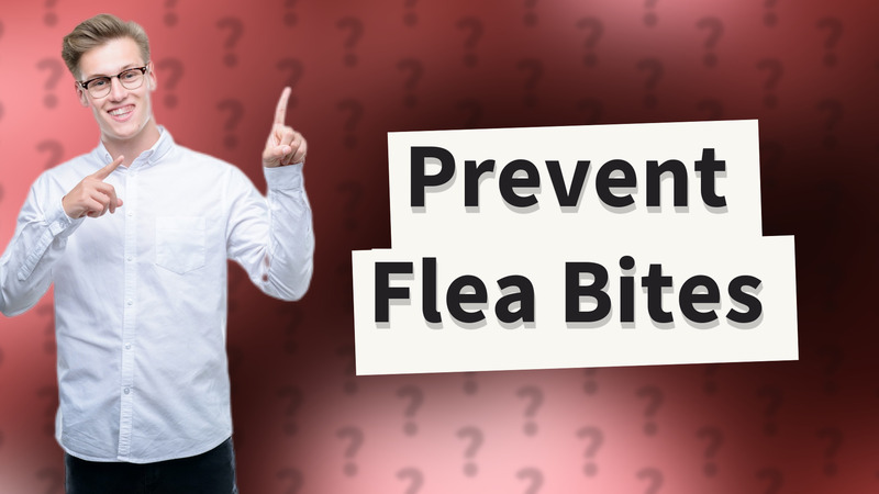 Prevent Flea Bites