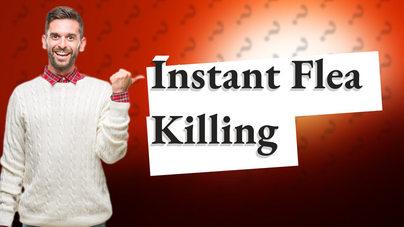 Instant Flea Killing