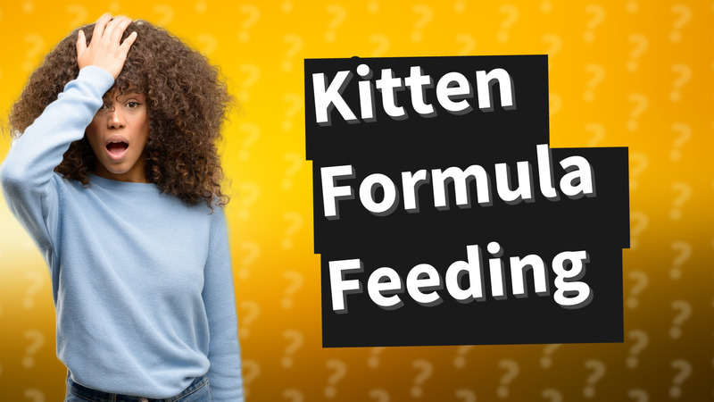 Kitten Formula Feeding