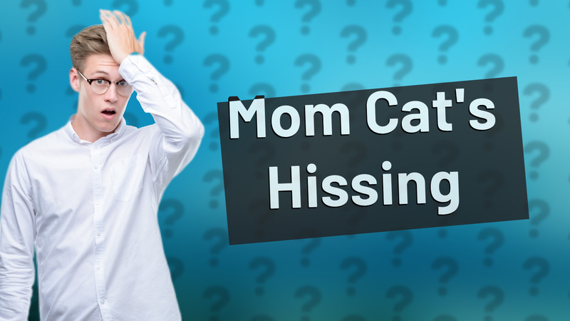 Mom Cat's Hissing