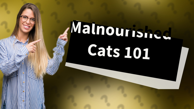 Malnourished Cats 101