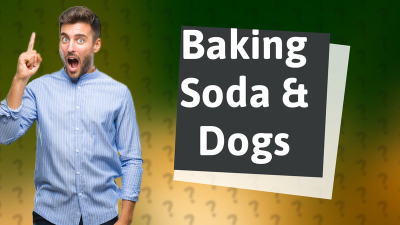 Baking Soda & Dogs