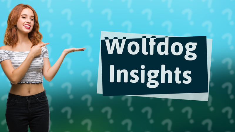 Wolfdog Insights