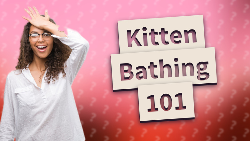 Kitten Bathing 101