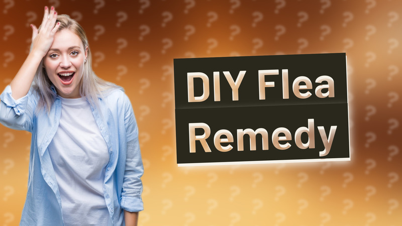 DIY Flea Remedy