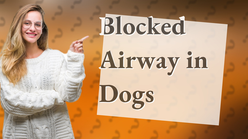 Blocked Airway in Dogs