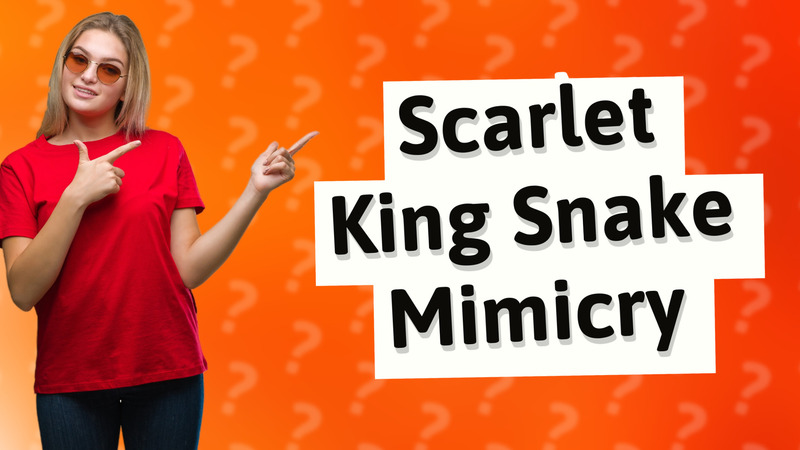 Scarlet King Snake Mimicry