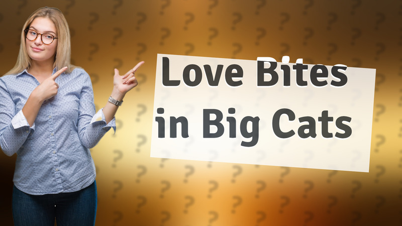 Love Bites in Big Cats