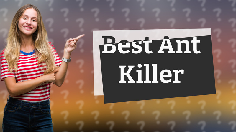 Best Ant Killer