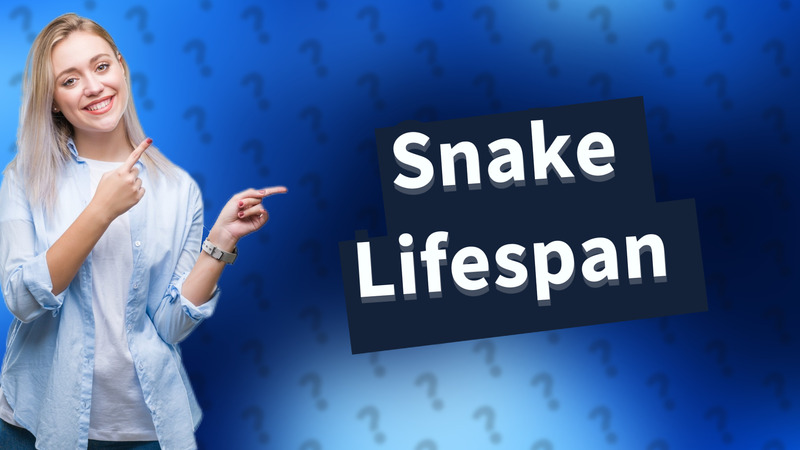 Snake Lifespan