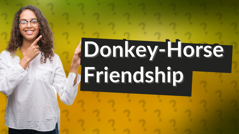 Donkey-Horse Friendship