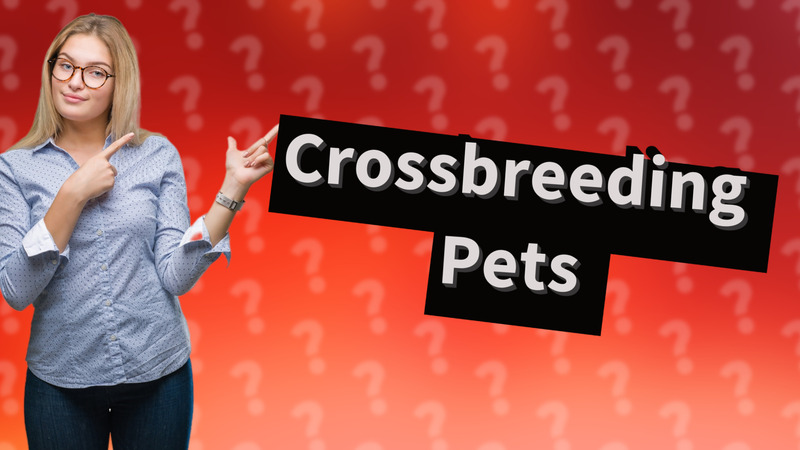 Crossbreeding Pets