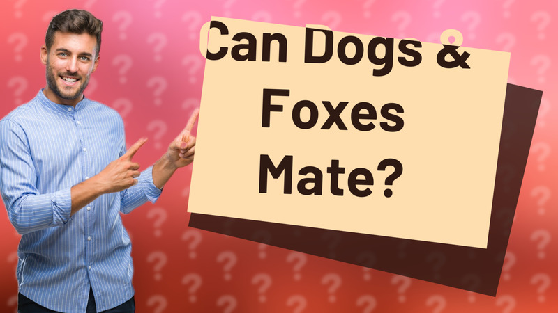 Can Dogs & Foxes Mate?
