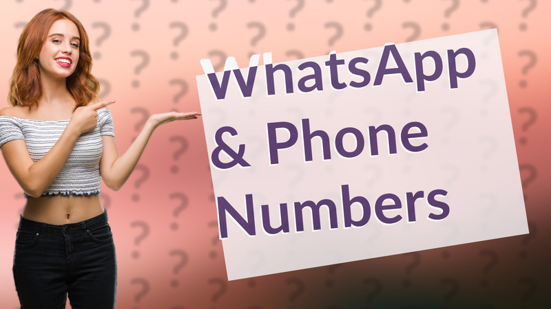WhatsApp & Phone Numbers