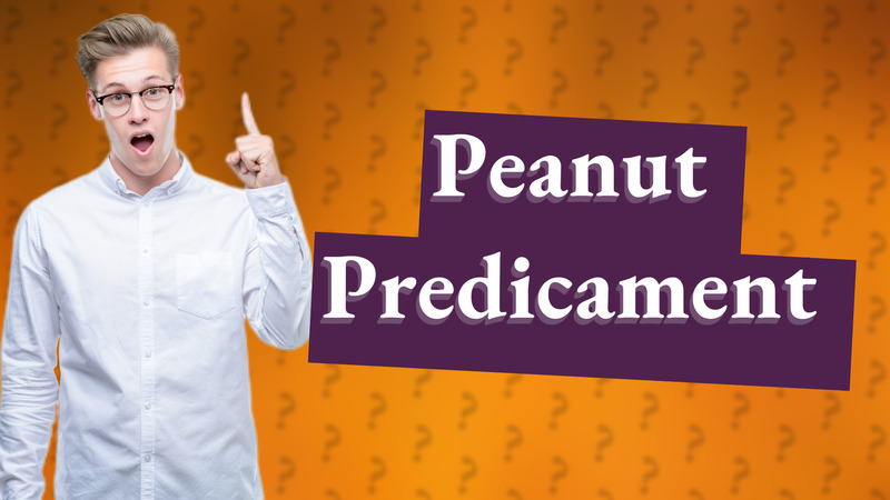 Peanut Predicament