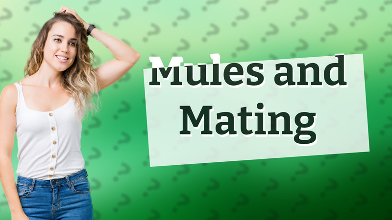 Mules and Mating
