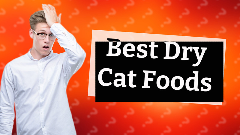 Best Dry Cat Foods