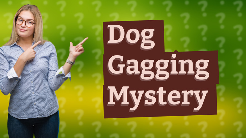 Dog Gagging Mystery
