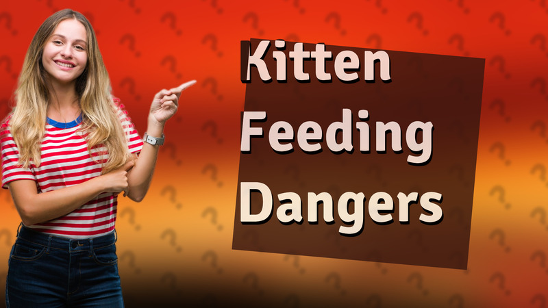 Kitten Feeding Dangers