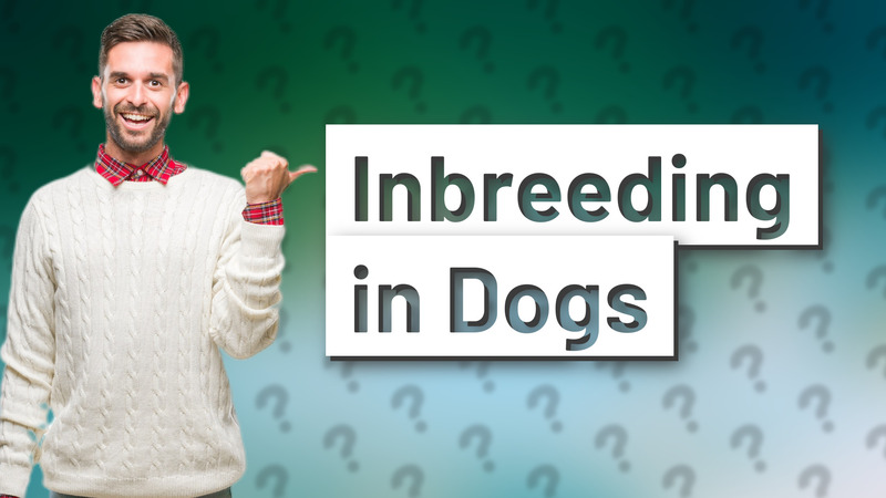 Inbreeding in Dogs