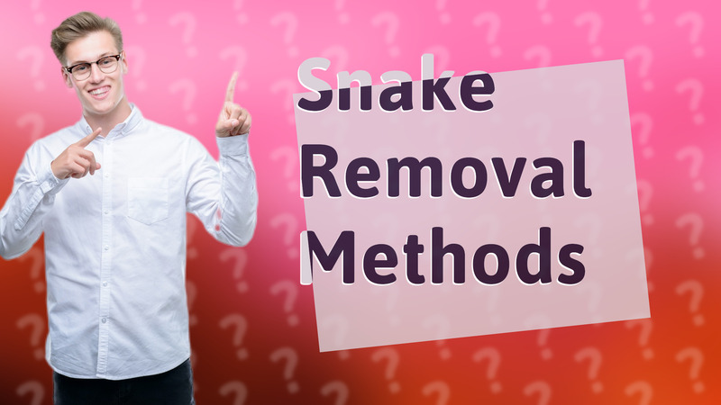 Snake Removal Methods