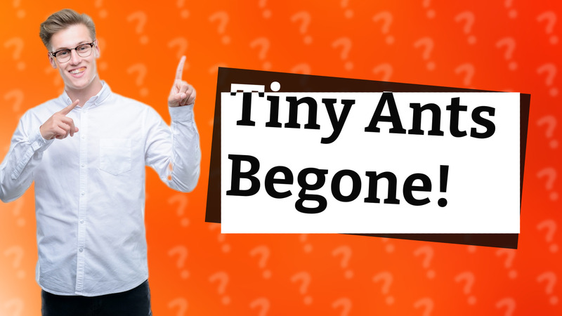 Tiny Ants Begone!