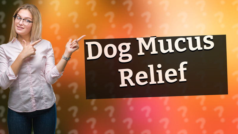 Dog Mucus Relief
