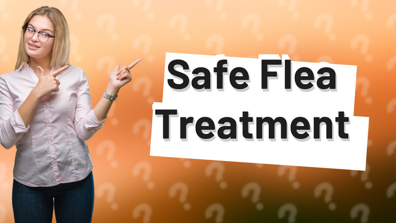Safe Flea Treatment