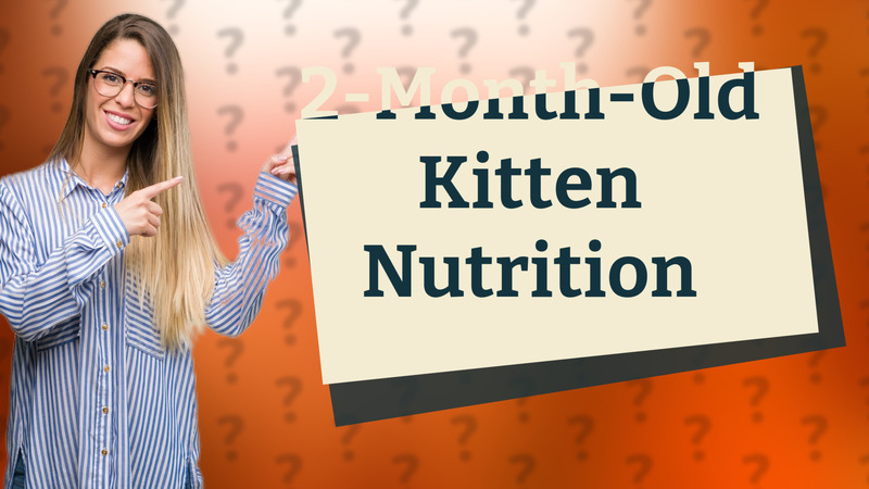 2-Month-Old Kitten Nutrition