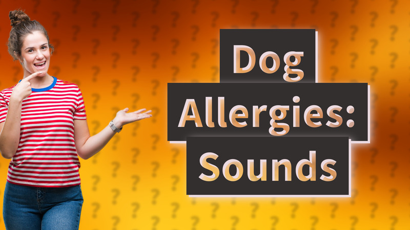 Dog Allergies: Sounds