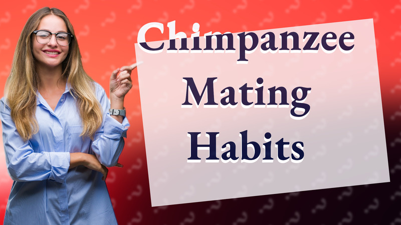 Chimpanzee Mating Habits