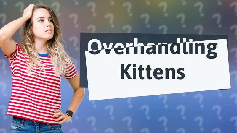Overhandling Kittens