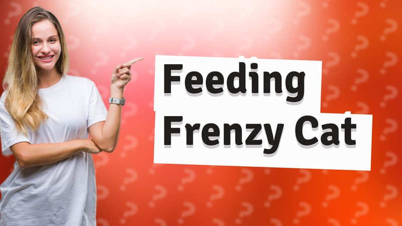 Feeding Frenzy Cat