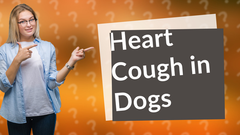 Heart Cough in Dogs