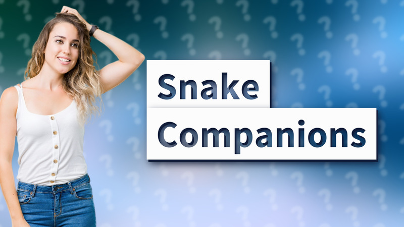 Snake Companions