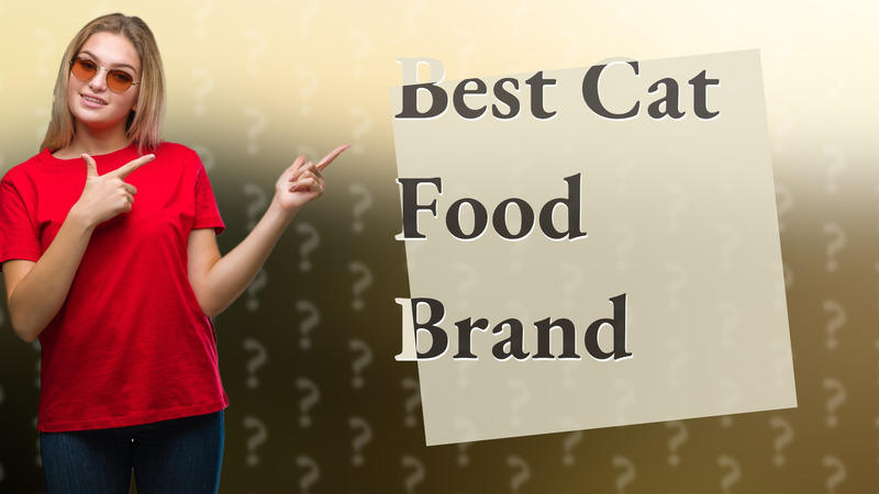 Best Cat Food Brand