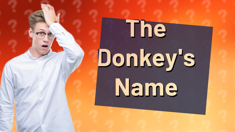 The Donkey's Name