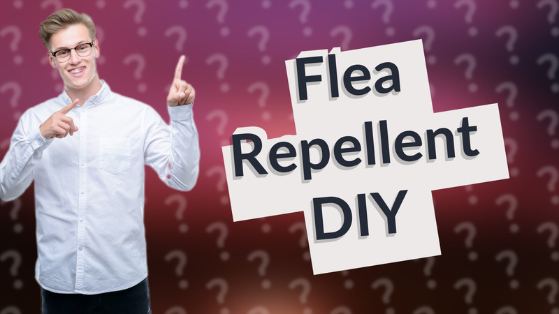 Flea Repellent DIY