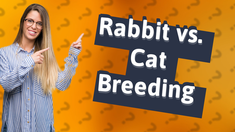 Rabbit vs. Cat Breeding