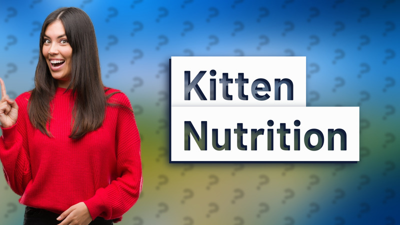 Kitten Nutrition